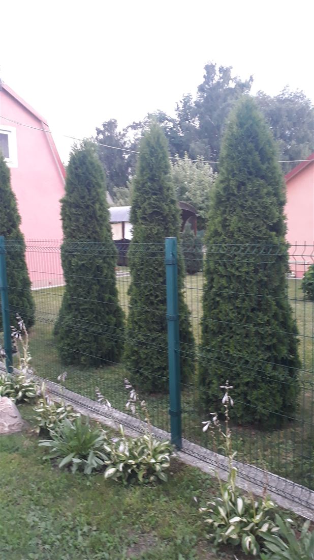 Купить  дом