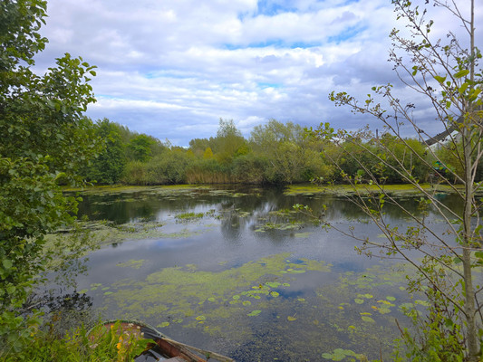 Купить  дом
